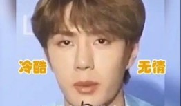 演艺圈明星系列长篇,演艺圈明星系列长篇全景扫描